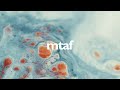 Ruffnux, RAEYA - Fragments