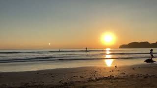 鎌倉 材木座海岸(Kamakura Zaimokuza coast) in Japan 2024/11/3