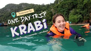 One Day Trip ดำน้ำที่กระบี่ (EP.13 ใบเตยจะพาไป : เกาะผักเบี้ย/เกาะเหลาลาดิง/เกาะรังนก)