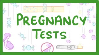 GCSE Biology - How do Pregnancy Tests Work?