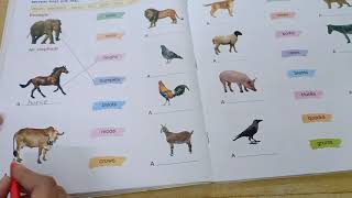 JKMBPS ધોરણ-૨ વિષય : અંગ્રેજી, lesson :6 SOUNDS OF ANIMALS AND BIRDS ( FUN TIME )