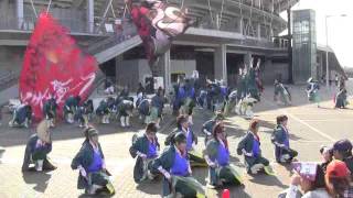 CHIよREN 北天魁　　ちばYOSAKOI 2011  フクダ電子アリーナ