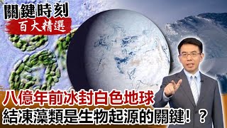 八億年前冰封白色地球 「結凍藻類」是大地回春生物起源的關鍵！？【關鍵時刻百大精選】-劉寶傑 黃創夏 傅鶴齡