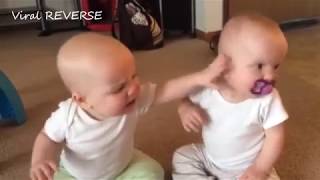 CUTE TWIN BABIES Fighting over pacifier - REVERSE Version