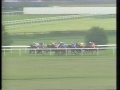 1994 homeowners dante stakes