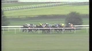 1994 Homeowners Dante Stakes