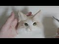 【改訂版】羊毛フェルト初心者さん向けの猫の作り方⑥ 顔 頭の植毛【how to make needle felting cat ⑥ plant hair】