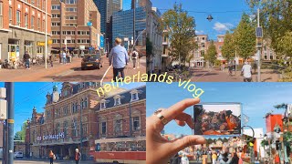 네덜란드 헤이그 일상 브이로그 | netherlands vlog