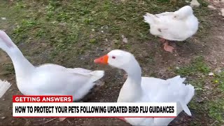 State releases new guidance surrounding recent bird flu cases