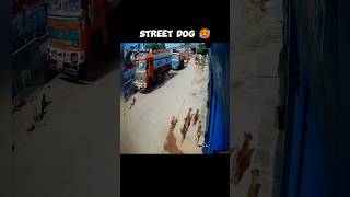 Street dog attack on tiger street dog 👿 attitude || street dog vs tiger #shorts #viral #trending