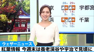 紅葉情報　今週末は養老渓谷や宇治で見頃に