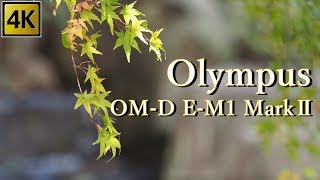 【Olympus 4K】sample movie