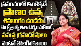 Ramaa Raav :  Rahu Ketu Pooja In Srikalahasti || Srikalahasti Temple || Srikalahasti Temple History