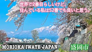 盛岡市街歩き　盛岡観光。MORIOKA ニューヨーク・タイムズ紙「2023年に行くべき世界の52カ所」わんこそば、じゃじゃ麺、盛岡冷麺だけじゃない。#morioka #盛岡市#ニューヨークタイムズ