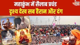 Mahakumbh 2025: महाकुंभ में हर तरफ सनातनियों की भारी भीड़, भक्ति का सब ओर माहौल | Prayagraj | UP