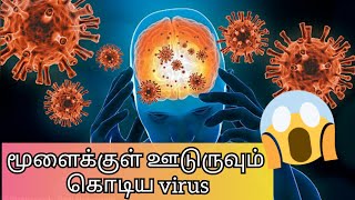 மூளையை தாக்கும் கொடிய Virus||ஆண்களுக்கு அபாயம்