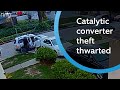 Neighbor Stops Catalytic Converter Theft In Broad Daylight | RingTV