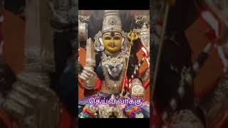 சமயபுரம் மாரியம்மன் தெய்வ  வாக்கு 313 #youTube #mariamman #shorts #murugan #trending #new #god