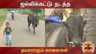 ஜல்லிக்கட்டு நடத்த தயாராகும் காளைகள் : காளைகளுக்கு தீவிர பயிற்சி | #Jallikattu