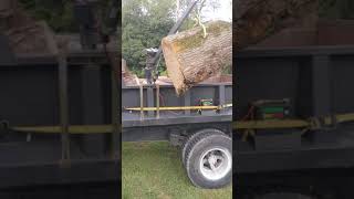 Homemade log lifter loader in action