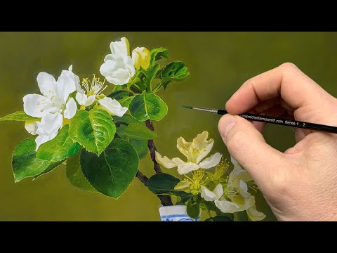 Painting A Still Life With Oil Paint | Episode 222 - YouTube