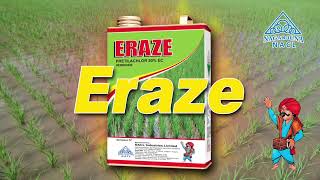 ERAZE Pretilachlor 50% EC: Superior Selective Herbicide for Rice Crop Protection