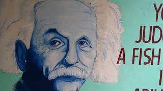 Albert Einstein - German born theoretical physicist