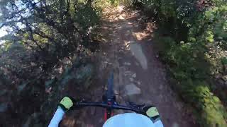 MTB Manzanita trail , CA Nov. 2024