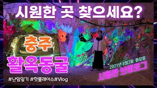 [시험관브이로그]충주 활옥동굴 시원한곳 찾으시는분 강추