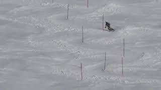 東医体2019 女子sl 2本目 法井美空