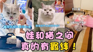 合集 | 猫和娃真的有羁绊！(补档专用)【十八的萌喵日记】