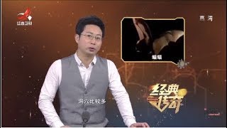 《经典传奇》山村迷影：“白仙鼠”传说的真相 20190129