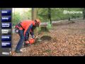 How to Work with Chainsaws - Felling Trees