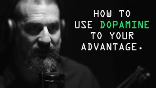 Role And Function Of Dopamine - Jocko Willink & Andrew Huberman