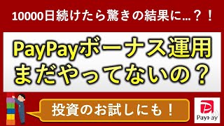 【目指せ1000万円】PayPayボーナス運用は最高の投資です