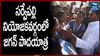 Ys jagan praja sankalpa yatra at Sarvepalli constituency | Padayatra Live | New Waves