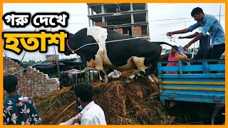 মোহাম্মদপুর বসিলা হাটের সবথেকে বড় গরু রাজা দেখে হতাশ | কুরবানী ঈদের গরু হাট | Big Cow | BD Fish