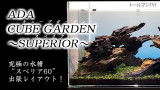 ADA究極の水槽スペリア60出張レイアウト編！【アクアリウムトールマン動画チャンネル！トールマンTV!】