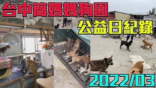 2022-3月公益日 台中簡媽媽狗園 600隻狗狗讓我極為震撼【修分靈】