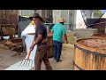 molienda de maguey con caballo para hacer el mezcal en oaxaca