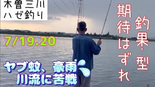 木曽川でハゼ釣り🎣大潮はあかんな〜っ！