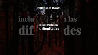 Reflexiones Diarias #meditamosenlapalabradedioscadadia