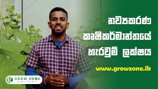 නව්යකරණ කෘෂිකර්මාන්තයේ හැරවුම් ලක්ෂය - The Turning Point of Innovative Agriculture