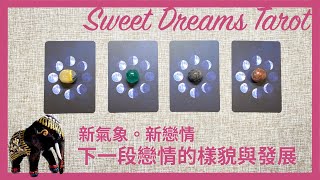 🌜Sweet Dreams Tarot🌛新戀情的樣貌💖發展如何🔮對方的特質🔍用塔羅牌探索下一段戀情✅單身/分手/脫單/新開始/新對象⏰Timeless