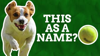 How Did The Verb Chase Become A Name?