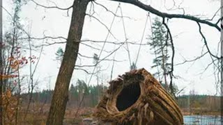 千万别等孩子撞破了头再给他看少年天机！课外阅读 处世智慧 变通思维 亲子教育