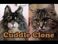 Cuddle Clone Unboxing 2