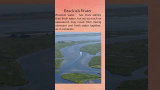 Brackish water #geology