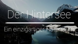 Der Hintersee | Ein einzigartiger Naturraum