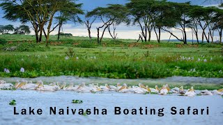 Lake Naivasha Boating Safari